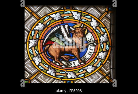 Saint Luke the Evangelist, stained glass window in the parish church of St. Peter and Paul in Oberstaufen, Germany Stock Photo