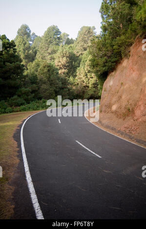curve curved road roads corn corners sweeping bend bends forest fast forests drive driving good smooth Stock Photo