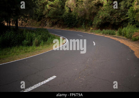 curve curved road roads corn corners sweeping bend bends forest fast forests drive driving good smooth Stock Photo