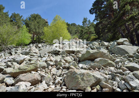 Moraine on the mountain slope Stock Photo