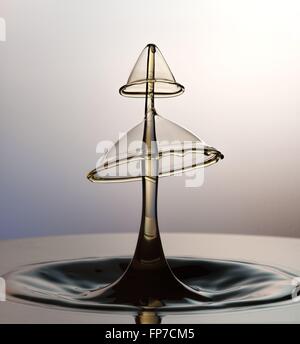 A high speed flash photograph of a three drop liquid collision. Stock Photo