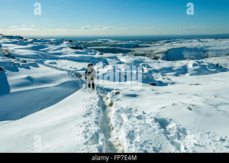 Hill walker in deep snow on the Kinder Scout plateau, above Hayfield, Peak District, Derbyshire, England, UK Stock Photo