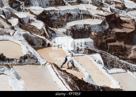 Worker collecting salt at The Maras salt ponds located at the Peru's Sacred Valley. Stock Photo