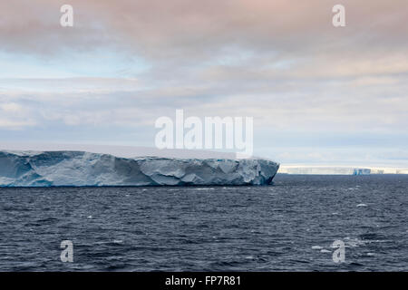 Huge Tabular Iceberg floating in Bransfield Strait near the northern tip of the Antarctic Peninsula, Antarctica Stock Photo