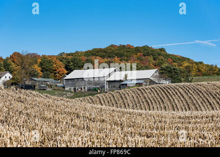 East Springfield, New York, USA. Multiple barns and structures define a ...