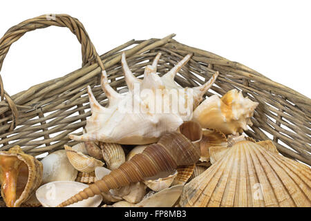 Different kinds of seashells  are lying  in the corner of a wicker baket. Isolated on the white background. Horizontally. Stock Photo