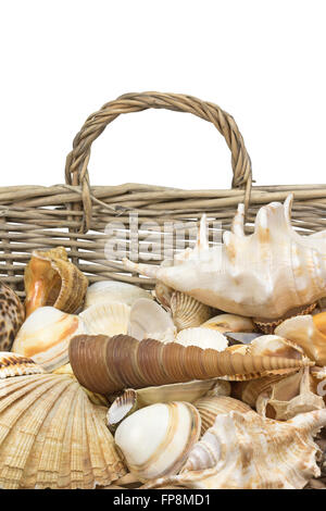 Different kinds of seashells  are lying  in an old wicker baket. Isolated on the white background. Vertically. Stock Photo