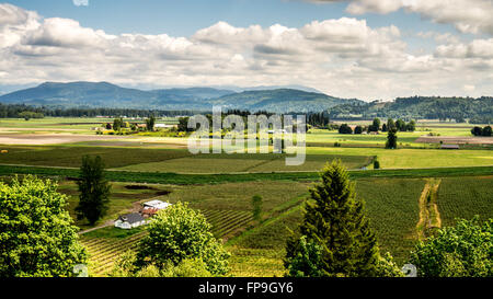 Glen Valley, a fertile farming area in the Fraser Valley of British Columbia, Canada Stock Photo