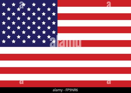 American Flag Vector Stock Vector