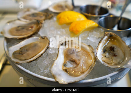 Raw oysters served on the half shell over ice in a seafood restaurant New York City, USA Stock Photo