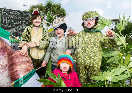 st patricks day parade schull