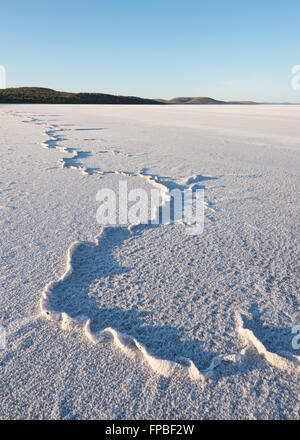 Dawn at Lake Gairdner, South Australia, SA, Australia Stock Photo