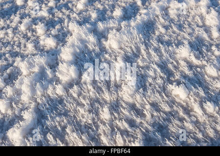 Details of Salt Crust, Lake Gairdner, South Australia, SA, Australia Stock Photo