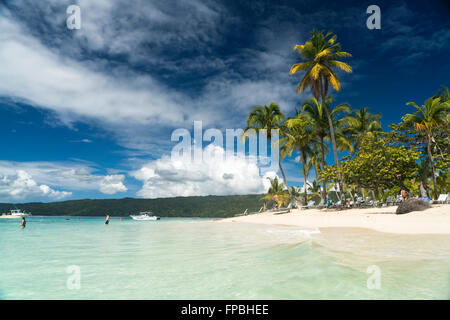 palm fringed sandy beach of Cayo Levantado, Samana,  Dominican Republic, Carribean, America, Stock Photo