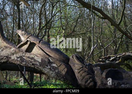 The Sculpture Trail / Walk at Sherborne, Gloucestershire around the Sherborne estate. Stock Photo