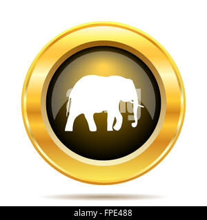 Elephant icon. Internet button on white background. Stock Photo