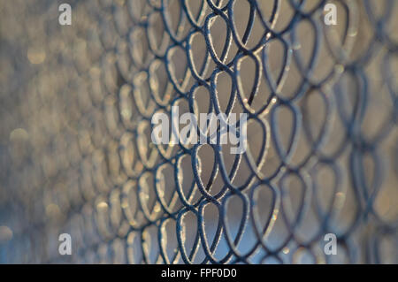 Closeup on wire mesh fence covered with hoarfrost in morning sunlight Stock Photo