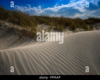 Sand dunes at East Head, West Wittering, West Sussex Stock Photo