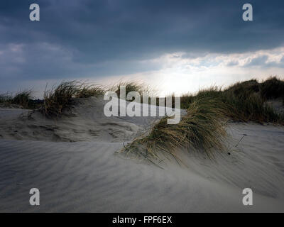 Sand dunes at East Head, West Wittering, West Sussex Stock Photo