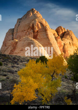 Rock formations and fall color in Capitol Reef National Park, Utah