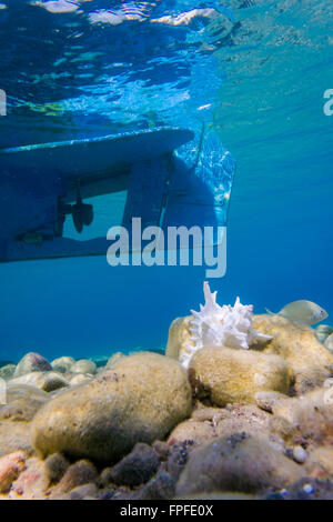 Underwater in Aegean sea Stock Photo