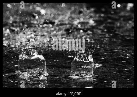 Rain drops in a puddle Stock Photo