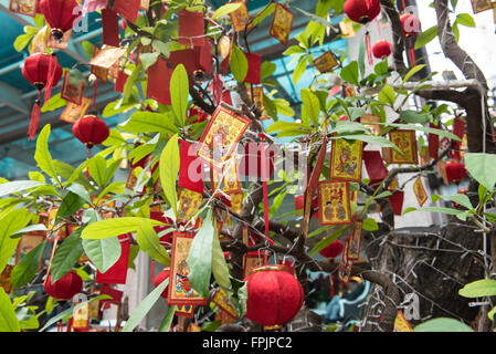 HO CHI MINH, VIETNAM - JANUARY 27, 2016: Decorated tree for Tet, the Vietnamese New Year which takes place on February 8th which Stock Photo