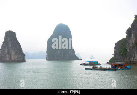 View of the dramatic and mysterious Halong Bay, Vietnam with floating houses, with dogs,  in the foreground which support  fish  Stock Photo