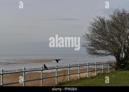 Lower Heswall marshes, Wirral, Merseyside looking towards North Wales over the Dee Estuary. Stock Photo