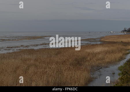 Lower Heswall marshes, Wirral, Merseyside looking towards Thurstaston. Stock Photo