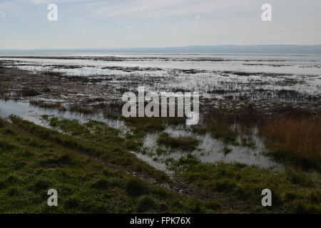 Lower Heswall marshes, Wirral, Merseyside looking towards North Wales over the Dee Estuary. Stock Photo