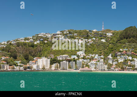 Wellington City residential area on Mount Victoria - view from the sea, New Zealand