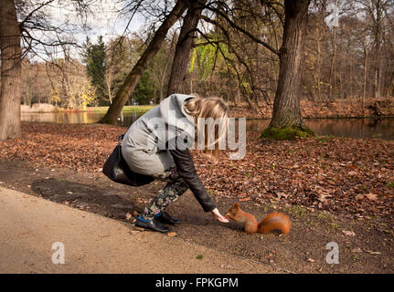 Red squirrel taking hazelnut from girl the park, animal standing on the ground in late autumn season, sunny day, horizontal Stock Photo