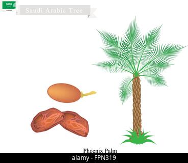 Saudi Arabia Tree, Illustration of Phoenix Palm. The National Tree of Saudi Arabia. Stock Vector