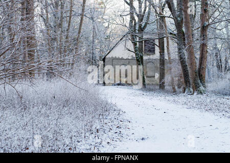 Old abandoned concrete house in snowy forest on winter morning Stock Photo