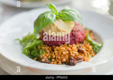Beetroot, tofu, carrot and chickpea patty served with warm lentil salad, hummus and herb oil dressing, shallow depth of field Stock Photo