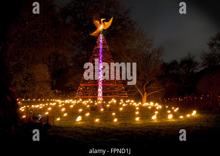 Metal Xmas tree and phoenix bird christmas xmas seasonal illuminations lighting Kew Gardens, London UK. Stock Photo