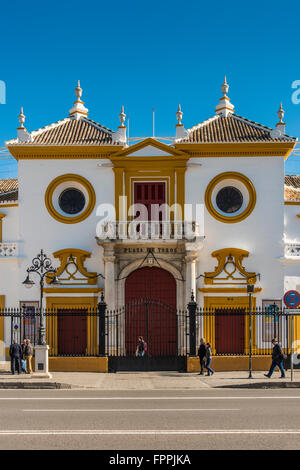Plaza de toros de la Real Maestranza de Caballeria de Sevilla, Seville, Andalusia, Spain Stock Photo
