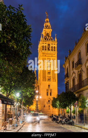 Night view of the Giralda bell tower, Seville, Andalusia, Spain Stock Photo