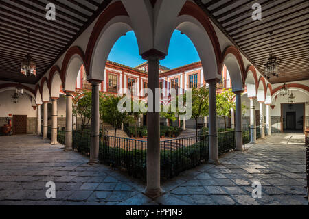 Inner courtyard of the Hospital of the Venerable Priests, Seville, Andalusia, Spain Stock Photo