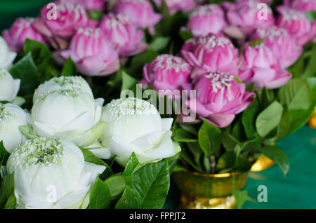 Thai traditional style folding white lotus bouquet Stock Photo