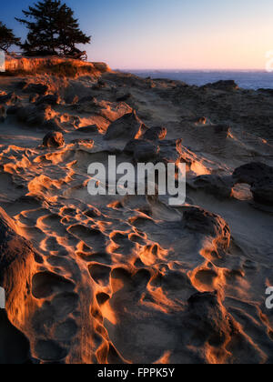 Sandstone rock formations and setting sun at Shore Acres State Park, Oregon Stock Photo