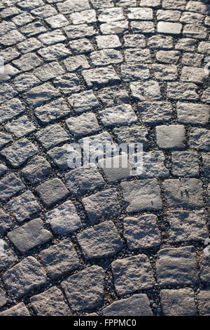 Old cobblestone street in afternoon light Stock Photo