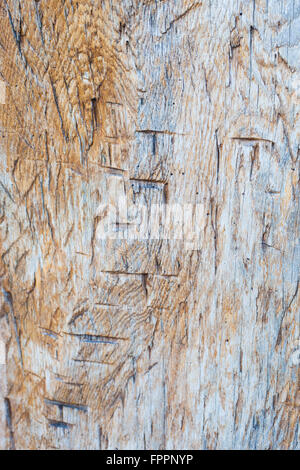 detail of carved wooden statue Stock Photo
