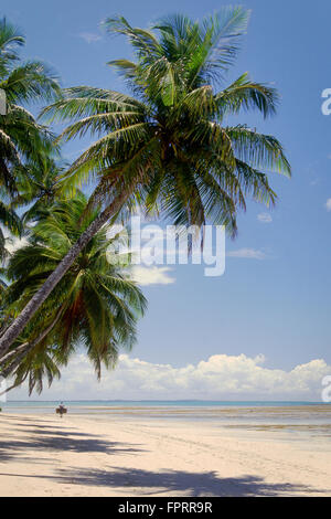 Boipeba beach, Bahia, Brazil Stock Photo