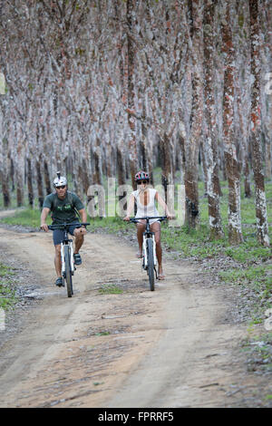 A couple riding mountain bikes through forested areas near Trancoso, Brazil Stock Photo