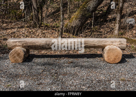 Rustic log bench in a forest brown with winter in the Great Smoky Mountains National park Stock Photo