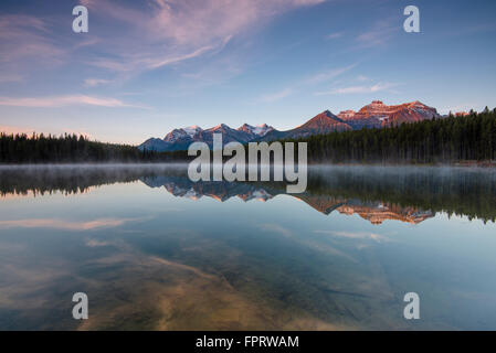 The Bow Range reflected in Herbert Lake at dawn, Banff National Park, Canadian Rockies, Alberta Province, Canada Stock Photo