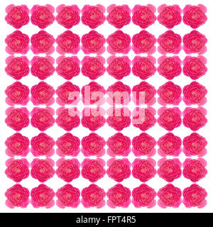 Damask rose  seamless pattern background Stock Photo