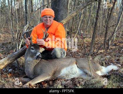 Deer hunter in blaze orange in the woods holding a ten point whitetail buck Stock Photo